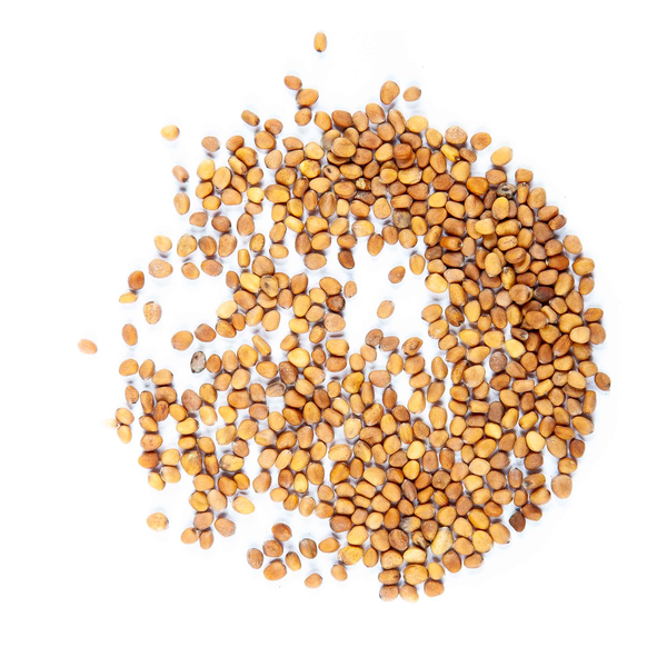 Retek (alternate view)